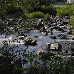 Wiedfluh In By Interhome * Waldbreitbach
