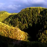 Wiedfluh In By Interhome * Waldbreitbach