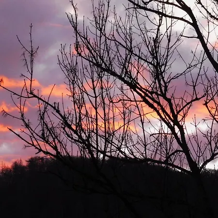 Apartment Wiedfluh In By Interhome