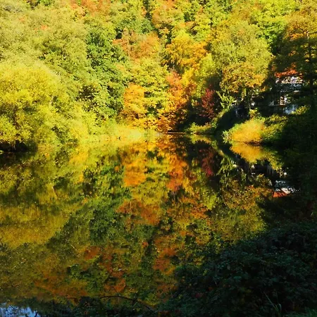 Apartment Wiedfluh In By Interhome *