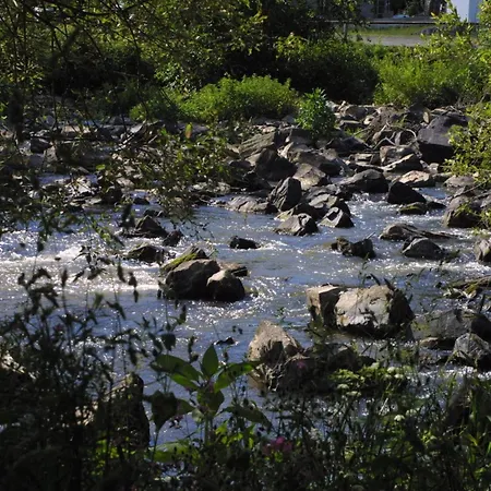 Wiedfluh In By Interhome * Waldbreitbach