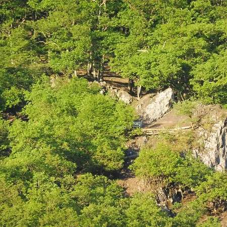 Wiedfluh In By Interhome Waldbreitbach