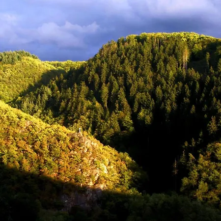 Wiedfluh In By Interhome * Waldbreitbach