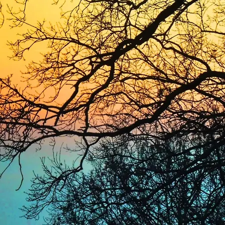 Wiedfluh In By Interhome * Waldbreitbach