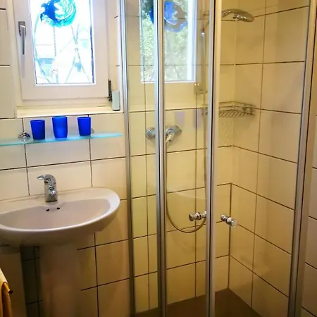 Wiedfluh In By Interhome Apartment Waldbreitbach