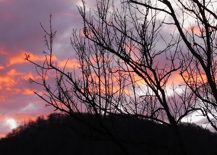 Apartamento Wiedfluh In By Interhome