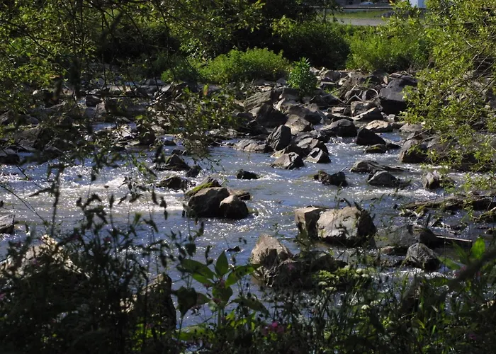 Wiedfluh In By Interhome * Waldbreitbach