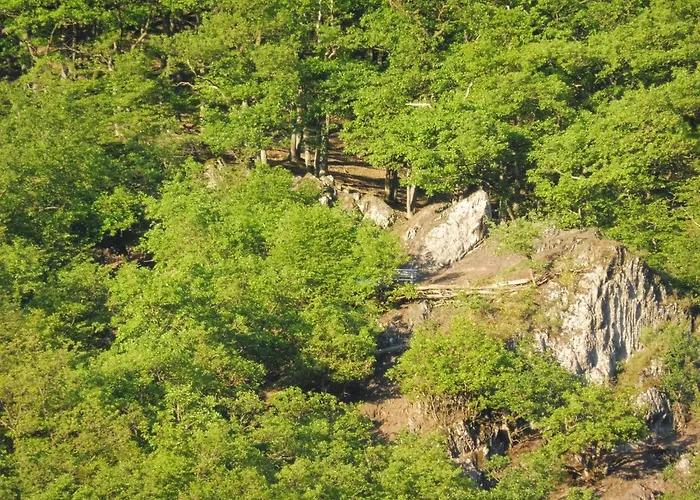 Wiedfluh In By Interhome Waldbreitbach