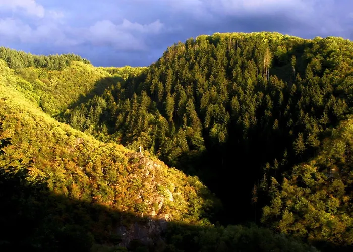 Wiedfluh In By Interhome * Waldbreitbach