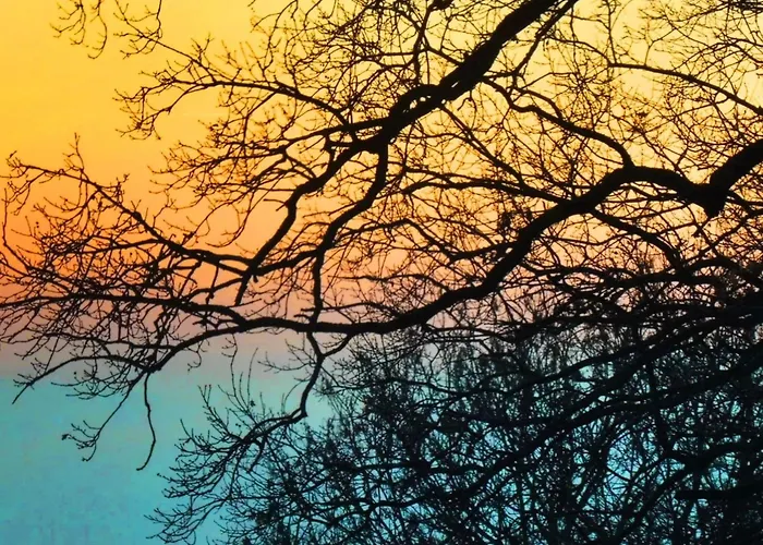 Wiedfluh In By Interhome * Waldbreitbach